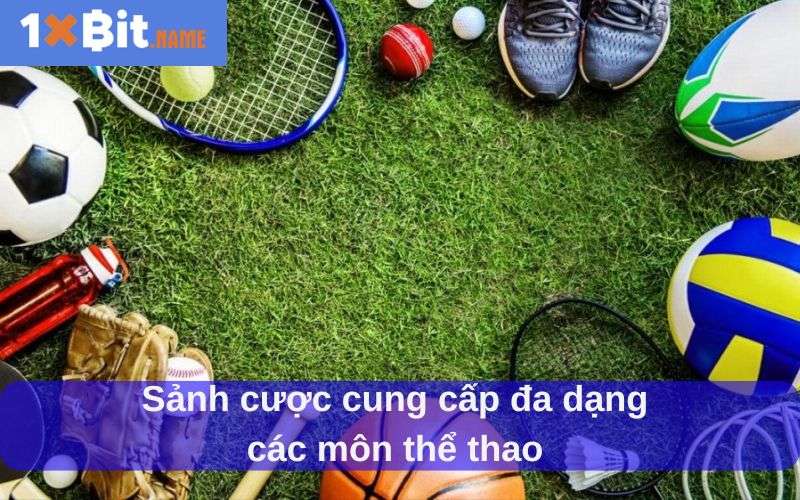Sảnh cược cung cấp đa dạng các môn thể thao
